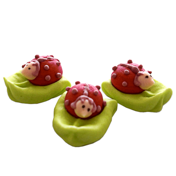 Nyckelpigor (3 st)